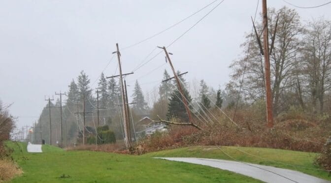 image of damage from a wind storm